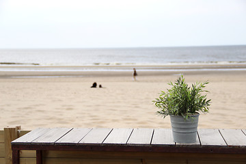 Image showing North sea and flower pot