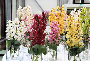 Image showing Beautiful orchids in the vases 