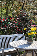 Image showing Sunny terrace with a lot of flowers