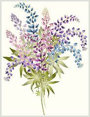 Image showing Background from flower of the lupine . Bouquet from a lupine flo