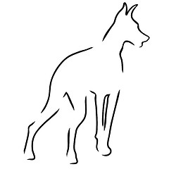 Image showing Doberman Outline