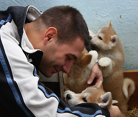 Image showing Akita inu