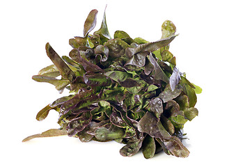 Image showing cocarde salad