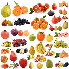 Image showing group of fruits