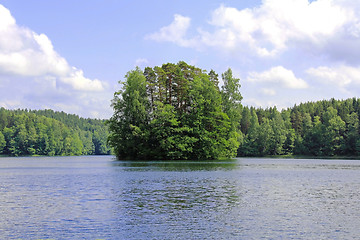 Image showing Small Island on a Lake