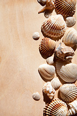 Image showing sea shells and star