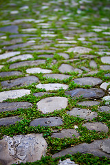 Image showing cobbles with moss on a pavement