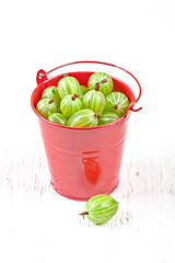 Image showing green gooseberry in metal bucket 