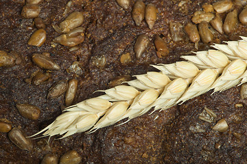 Image showing Close up Bread and wheat cereal crops