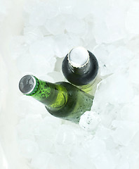 Image showing Green Bottle of beer