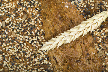 Image showing Close up Bread and wheat cereal crops