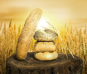 Image showing Bread and wheat cereal crops.