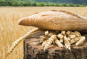 Image showing Bread and wheat cereal crops.
