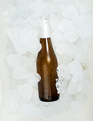 Image showing Bottle of beer and ice cubes