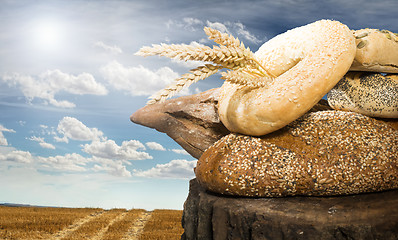 Image showing Bread and wheat cereal crops