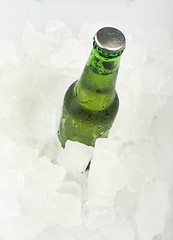 Image showing Green Bottle of beer