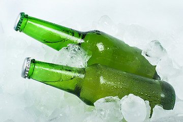 Image showing Green Bottle of beer