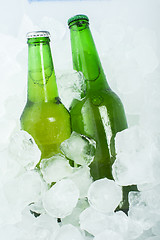 Image showing Green Bottle of beer