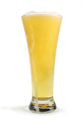 Image showing Mug filled with beer