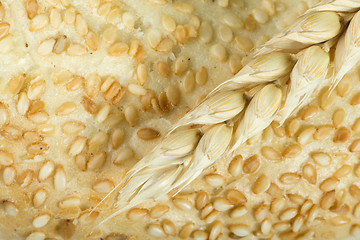 Image showing Close up Bread and wheat cereal crops