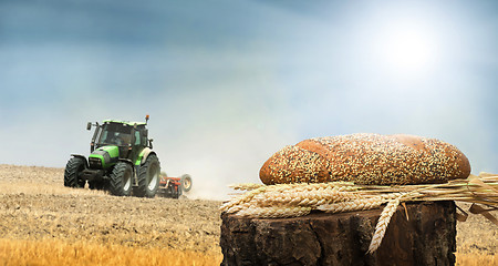 Image showing Bread and wheat cereal crops.Traktor on the background