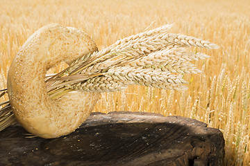 Image showing Bread and wheat cereal crops