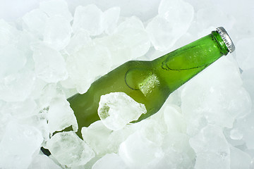 Image showing Green Bottle of beer