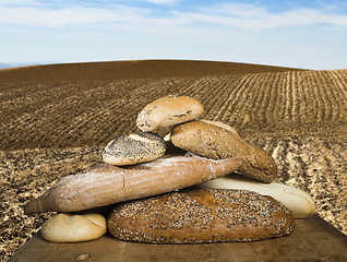 Image showing Bread and wheat cereal crops. Plowed land