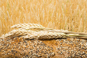 Image showing Bread and wheat cereal crops