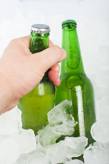 Image showing Green Bottle of beer