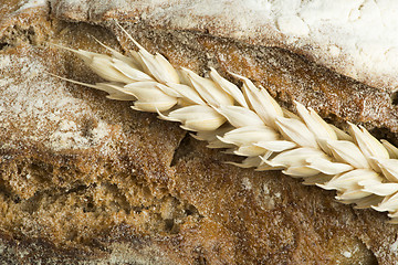 Image showing Close up Bread and wheat cereal crops