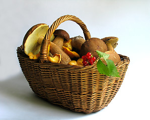 Image showing Basket full of mushrooms and berries