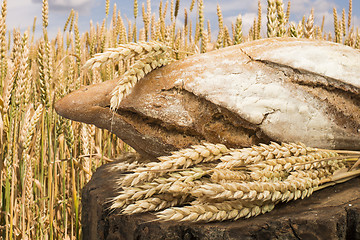 Image showing Bread and wheat cereal crops.