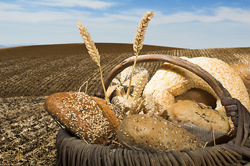 Image showing Bread and wheat cereal crops.