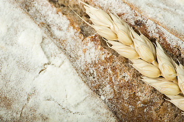 Image showing Close up Bread and wheat cereal crops