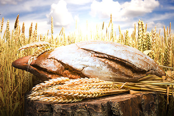 Image showing Bread and wheat cereal crops