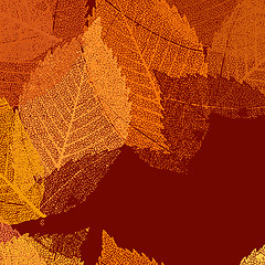 Image showing Dry autumn leaves template. EPS 8