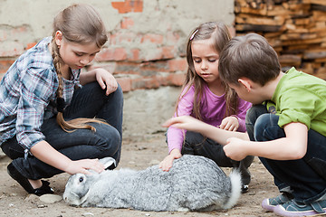 Image showing Children playing with rabbit