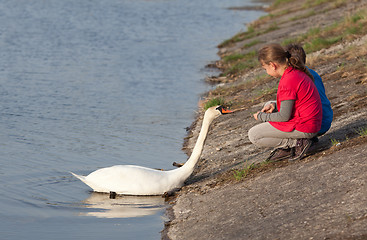 Image showing Children feeding swan