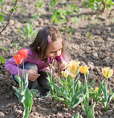 Image showing Little girl with tulips