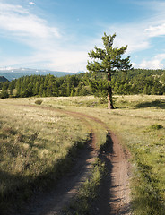 Image showing Roud West Sayan Mountains