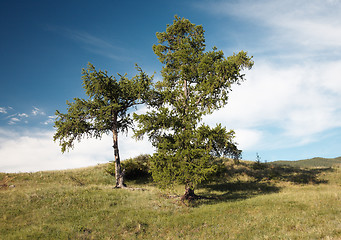 Image showing West Sayan Mountains