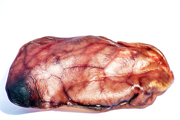 Image showing pig ear
