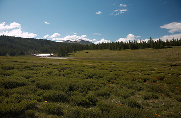 Image showing West Sayan Mountains