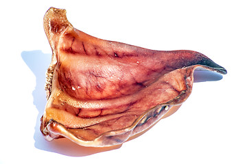 Image showing pig ear