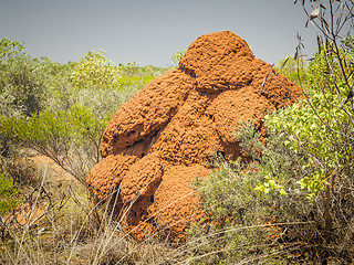 Image showing australia termite hill