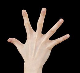 Image showing White hand on black