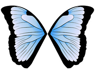 Image showing butterfly Wings