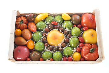 Image showing crate of tomatoes