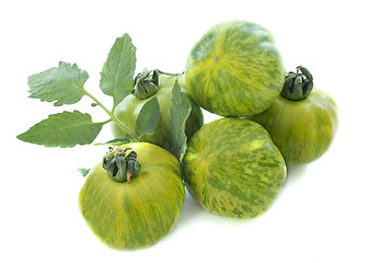 Image showing green zebra tomatoes